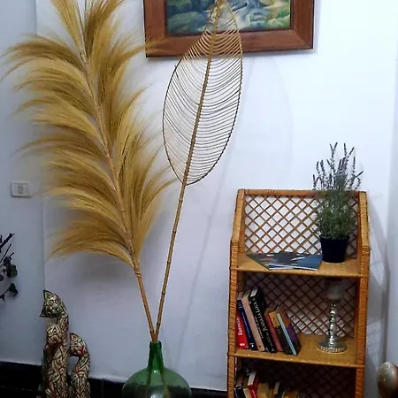 Mi Parchita Valverde (El Hierro)